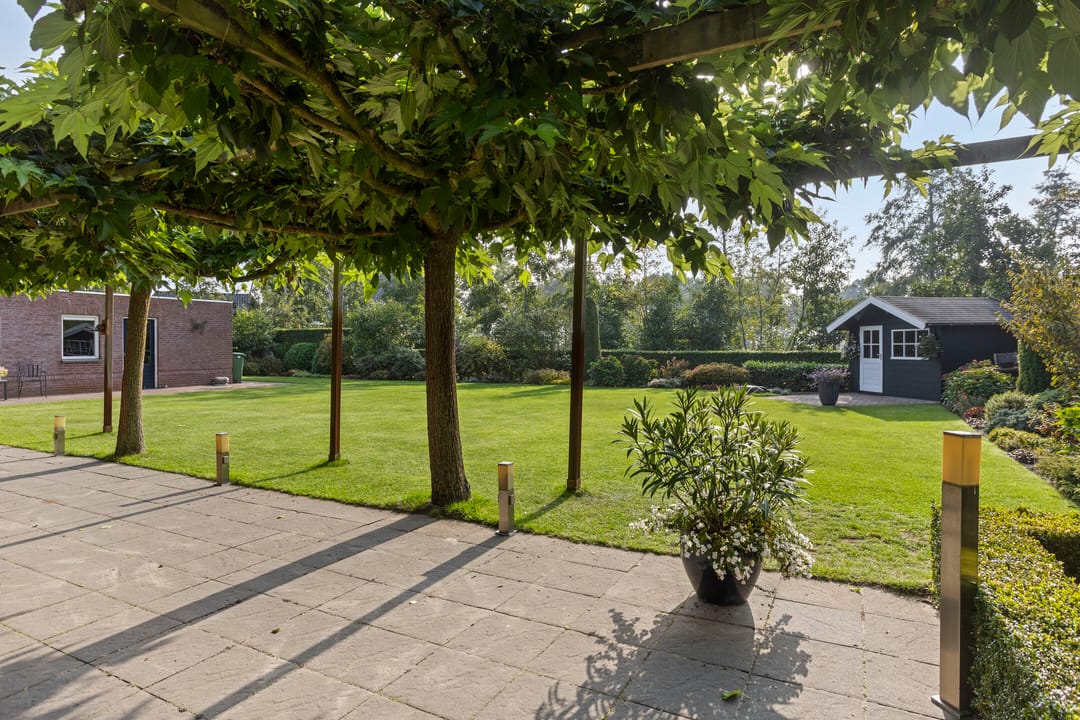 Photo 52 of de Geelgors 9