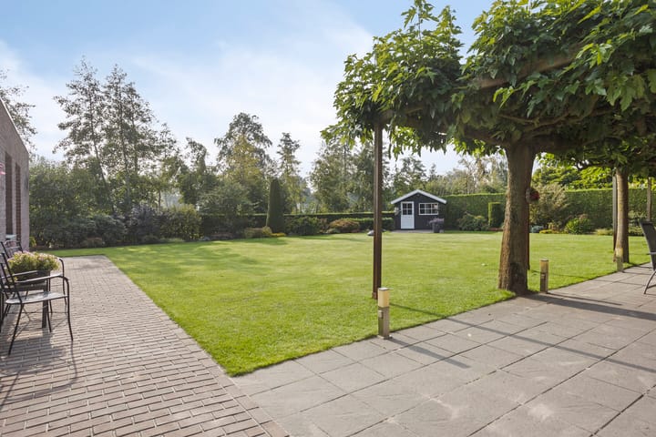 Photo 53 of de Geelgors 9