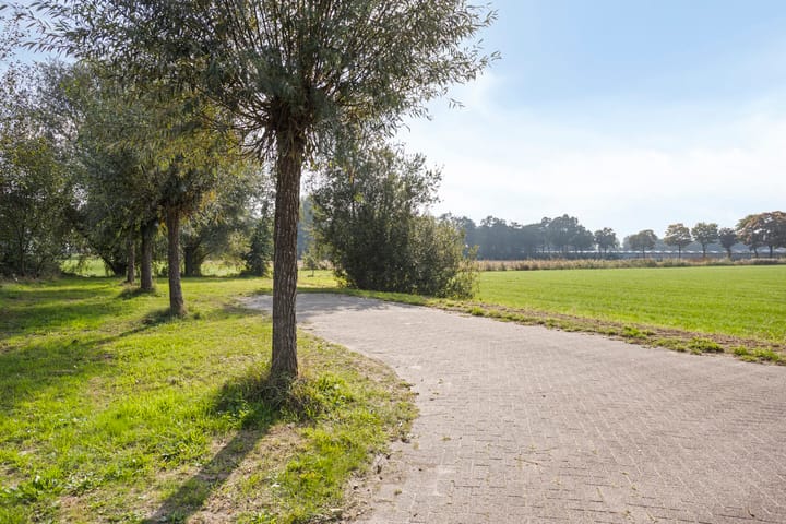 Photo 61 of de Geelgors 9