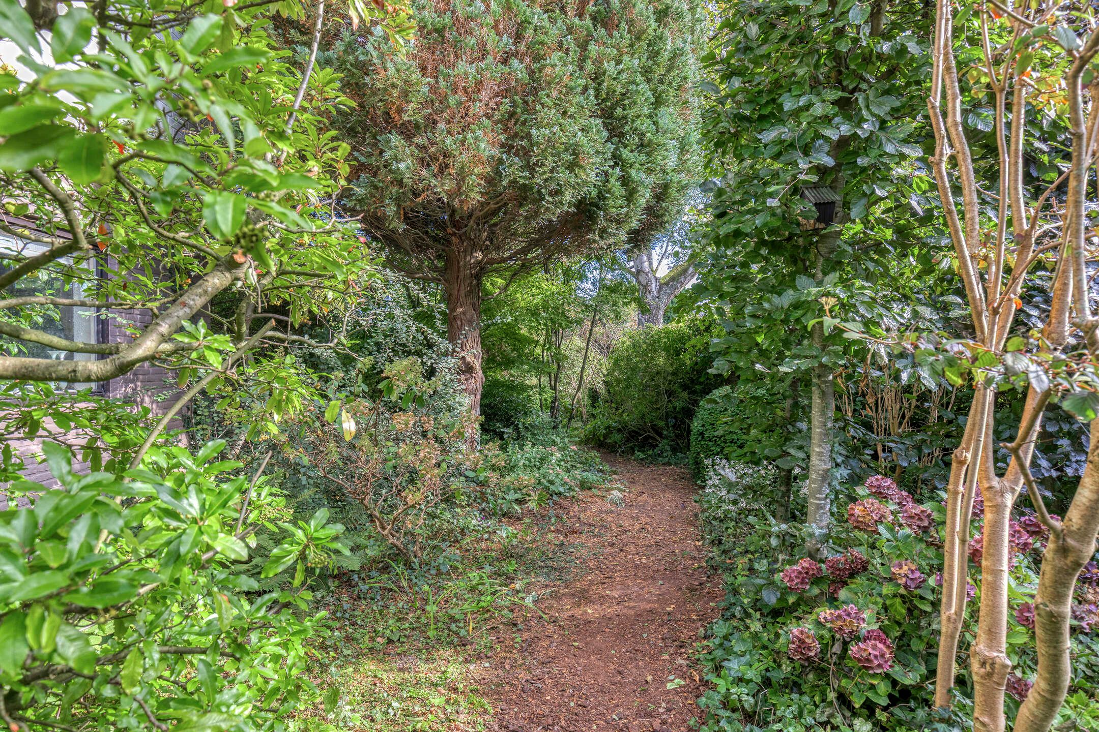 Foto 39 van Quintuslaan 25