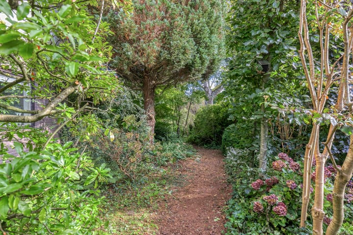 Foto 39 van Quintuslaan 25