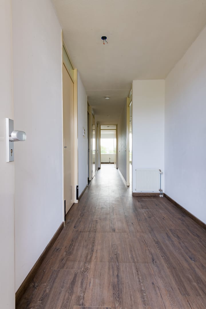 Photo 5 of Mercuriuspad 31