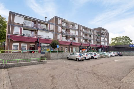 undefined main image