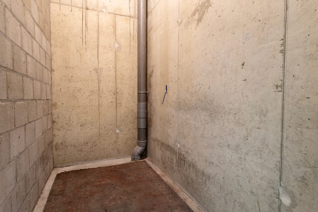 Photo 16 of Zeswegenlaan 295