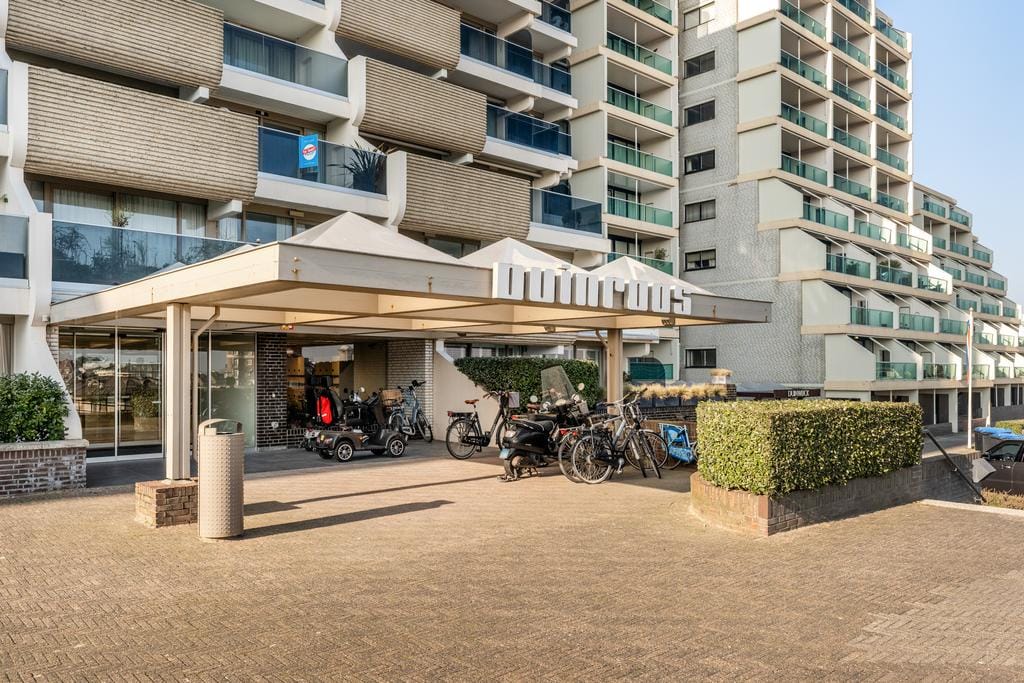 Foto 3 van Duinroos 15