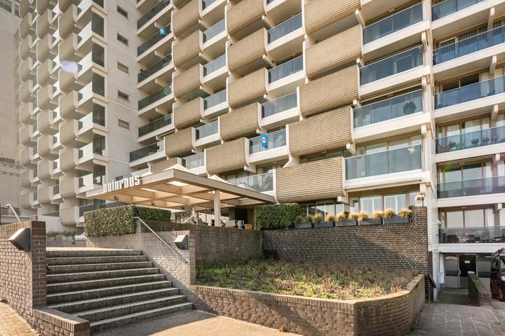 Photo 5 of Duinroos 15