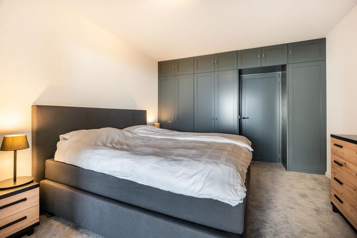 Photo 18 of Duinroos 15