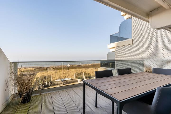 Photo 27 of Duinroos 15