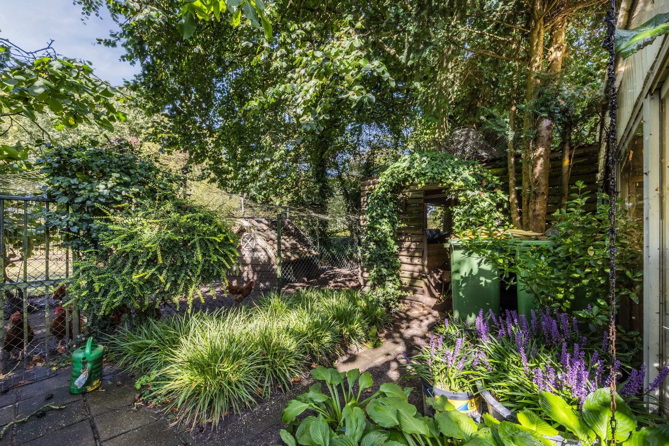 Foto 54 van Dijkstraat 16