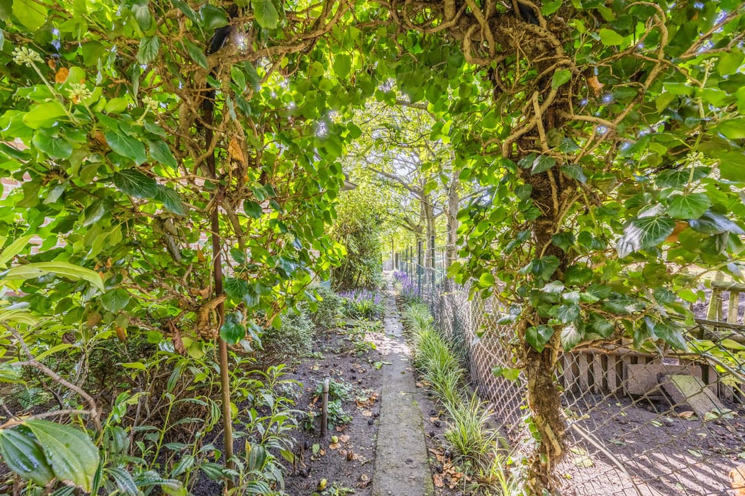 Foto 56 van Dijkstraat 16