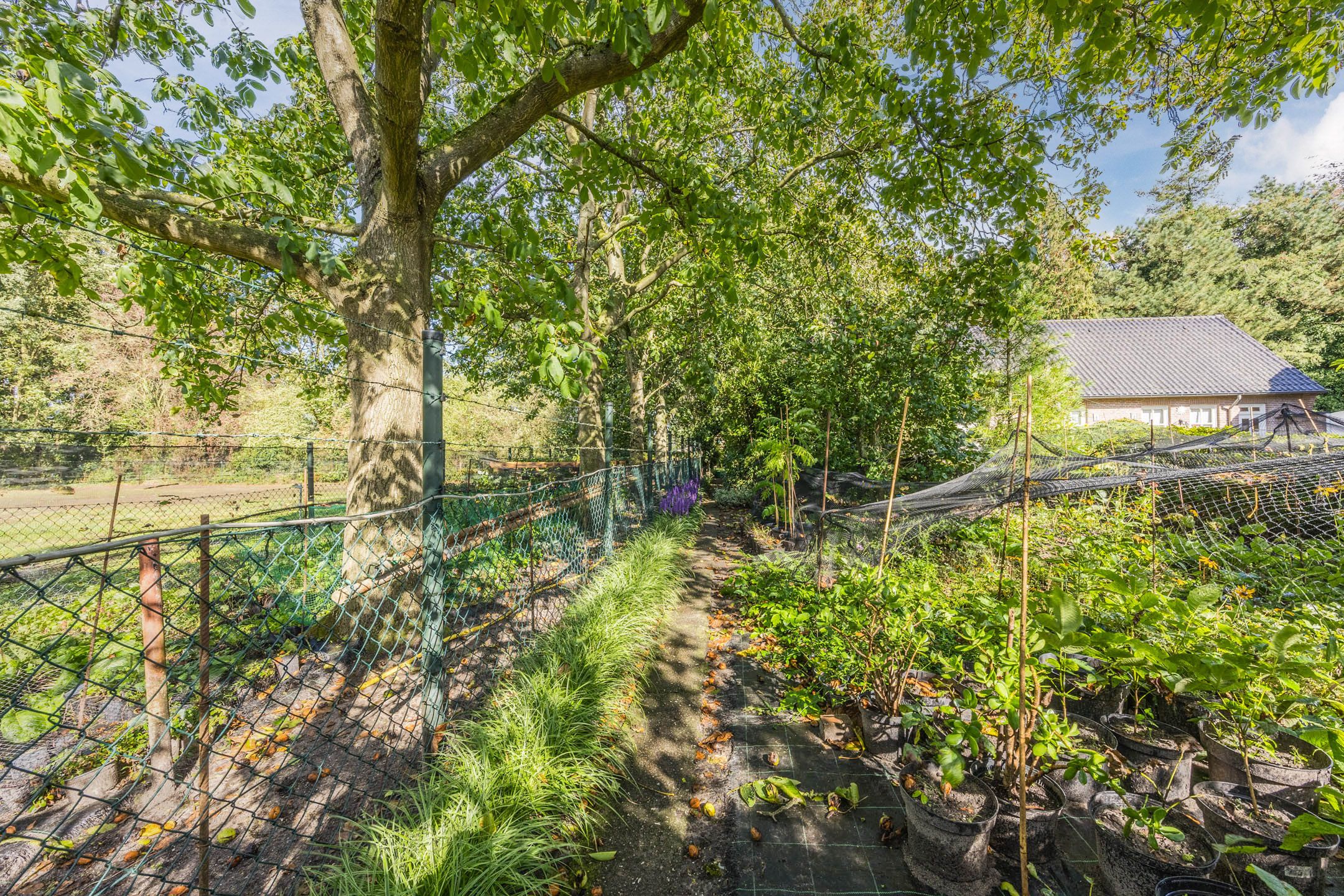 Foto 57 van Dijkstraat 16