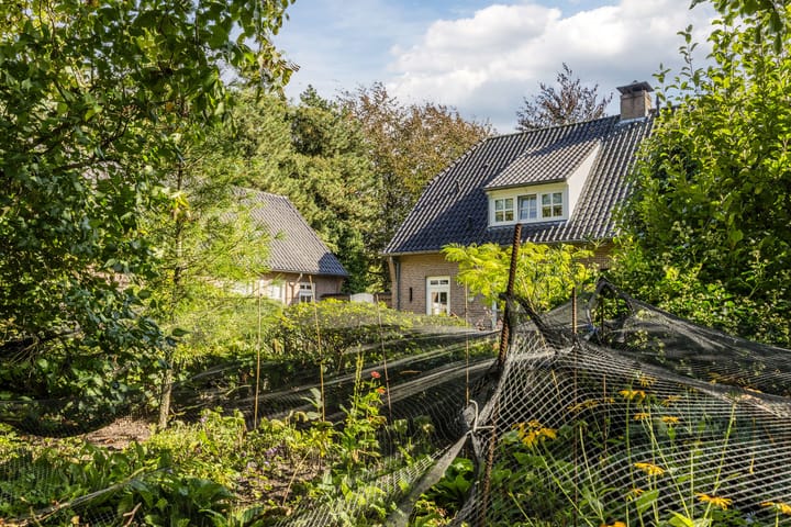 Foto 58 van Dijkstraat 16