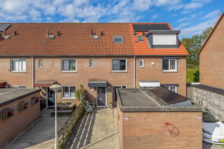 Foto 3 van Buizerdveld 173