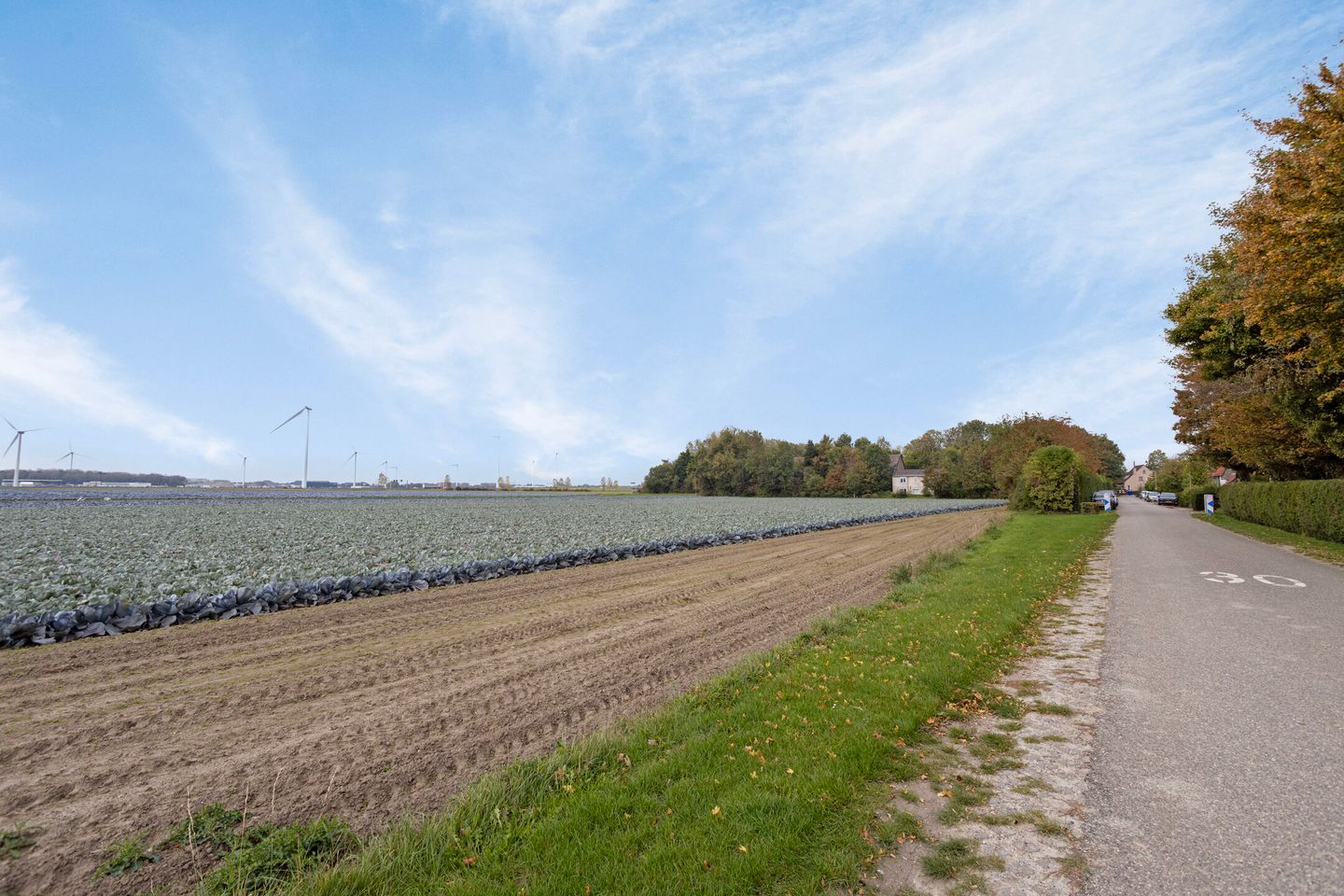 Foto 34 van Graaf Jansdijk 88