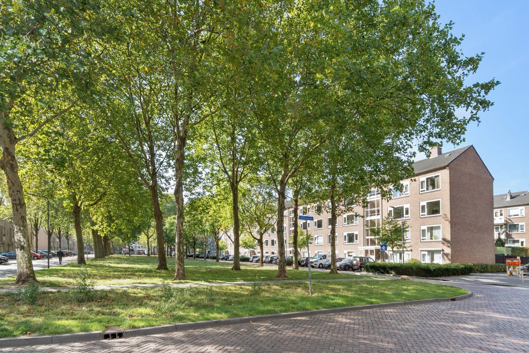 Foto 37 van Planciusplein 18