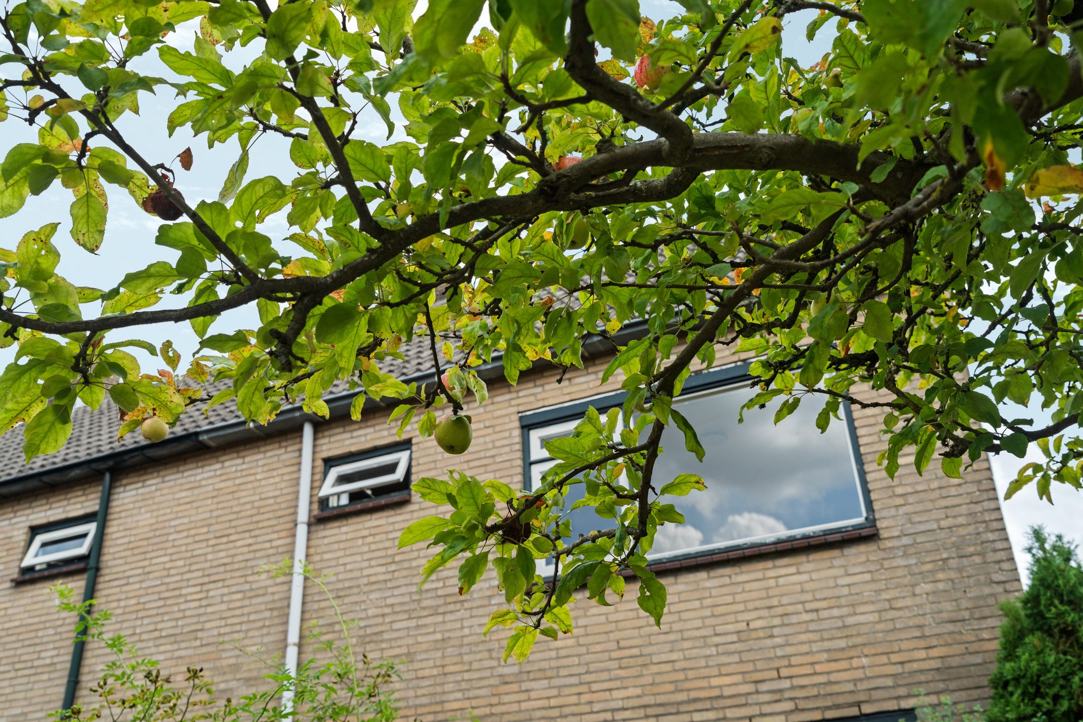 Foto 42 van Frans Halsstraat 30