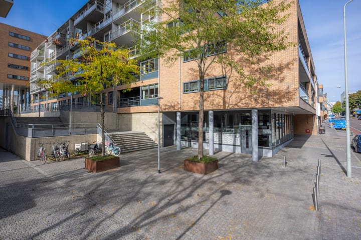 Photo 29 of Mercuriuspad 33