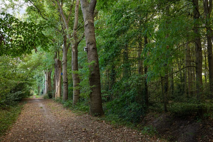 Foto 85 van De Bleek 1