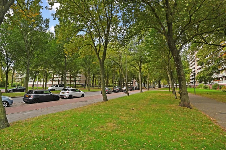 Foto 33 van Heiloostraat 89