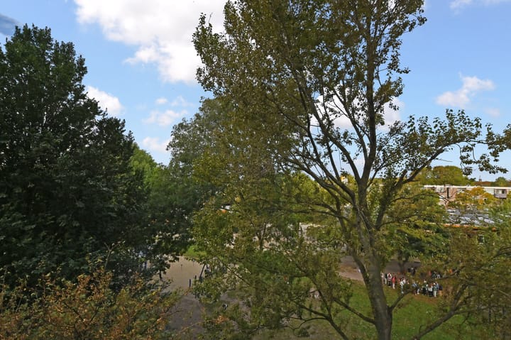 Foto 35 van Heiloostraat 89