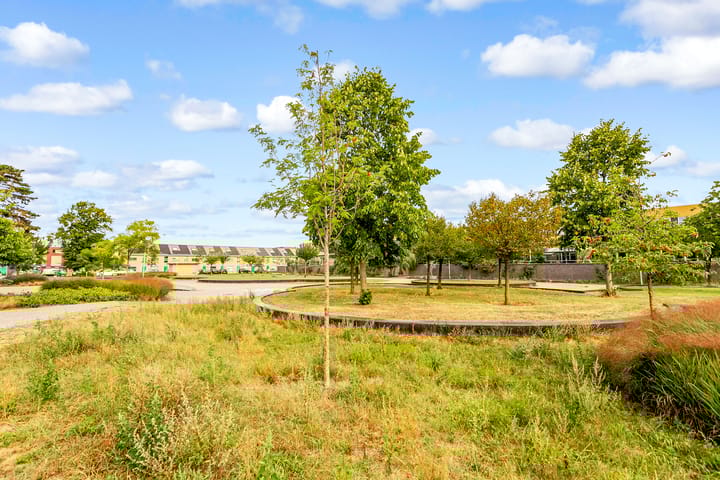 Foto 2 van Grootmeesterplein 26