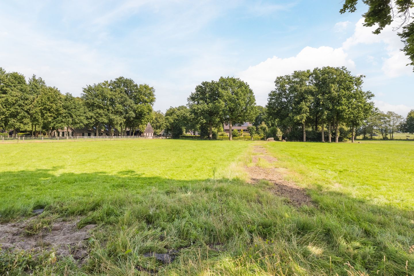 Photo 44 of Torenstraat 12