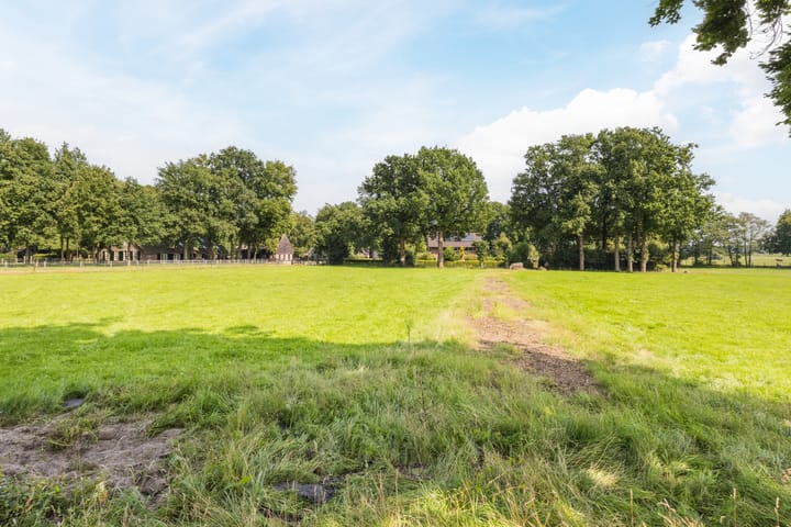 Foto 44 van Torenstraat 12