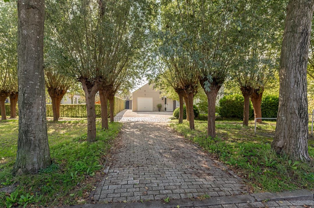 Foto 47 van Grondzeilerweg 8