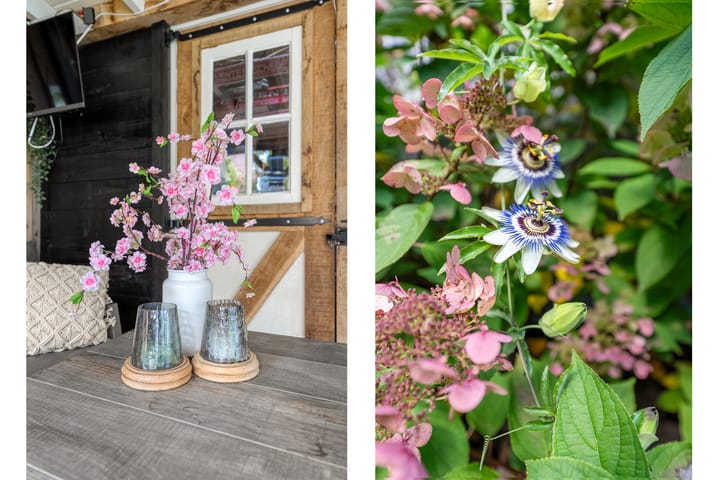 Foto 31 van Beatrixstraat 2