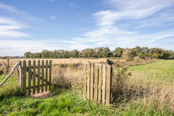 Foto 65 van Pontweg 197