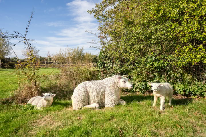 Foto 70 van Pontweg 197