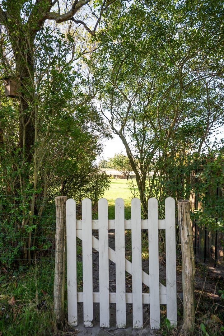 Foto 71 van Pontweg 197