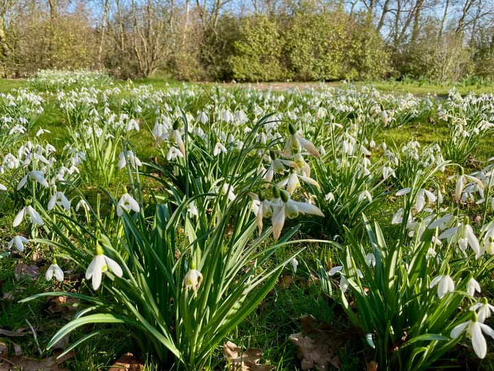 Foto 77 van Pontweg 197