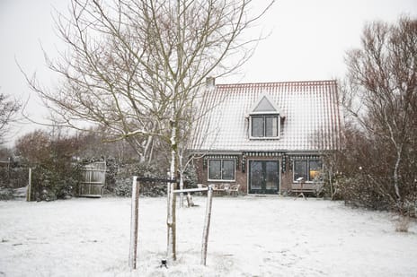 undefined main image