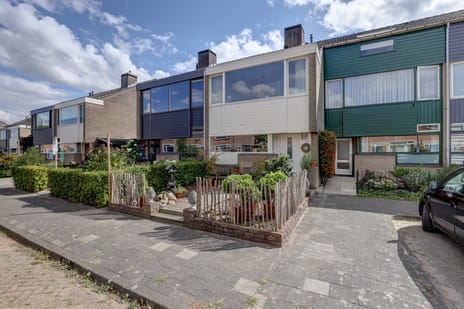 undefined main image