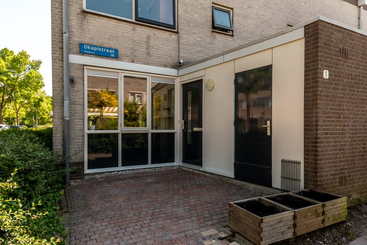 Foto 2 van Okapistraat 1