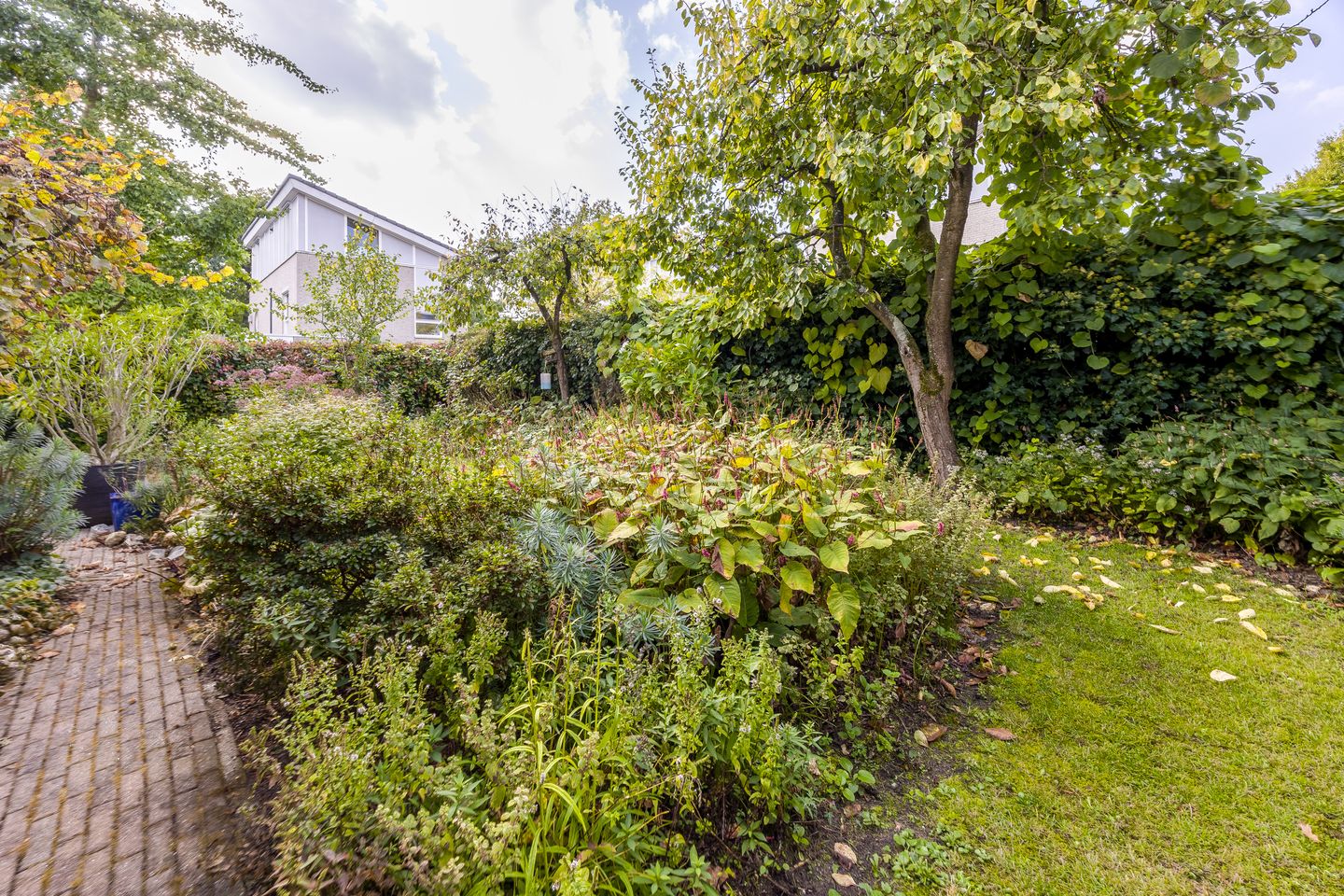 Foto 34 van Uniceflaan 14