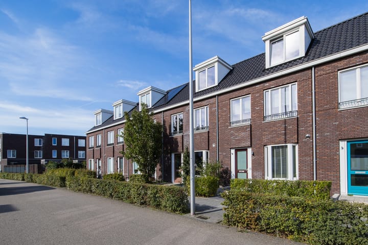 Foto 6 van Beeldhouwersdijk 49