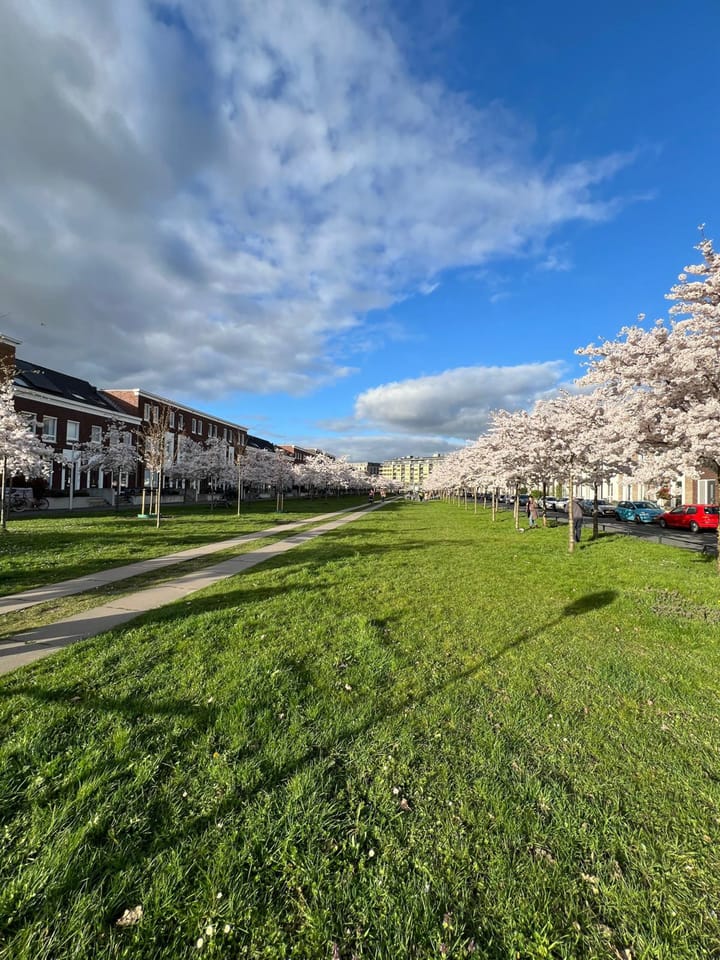 Foto 64 van Beeldhouwersdijk 49