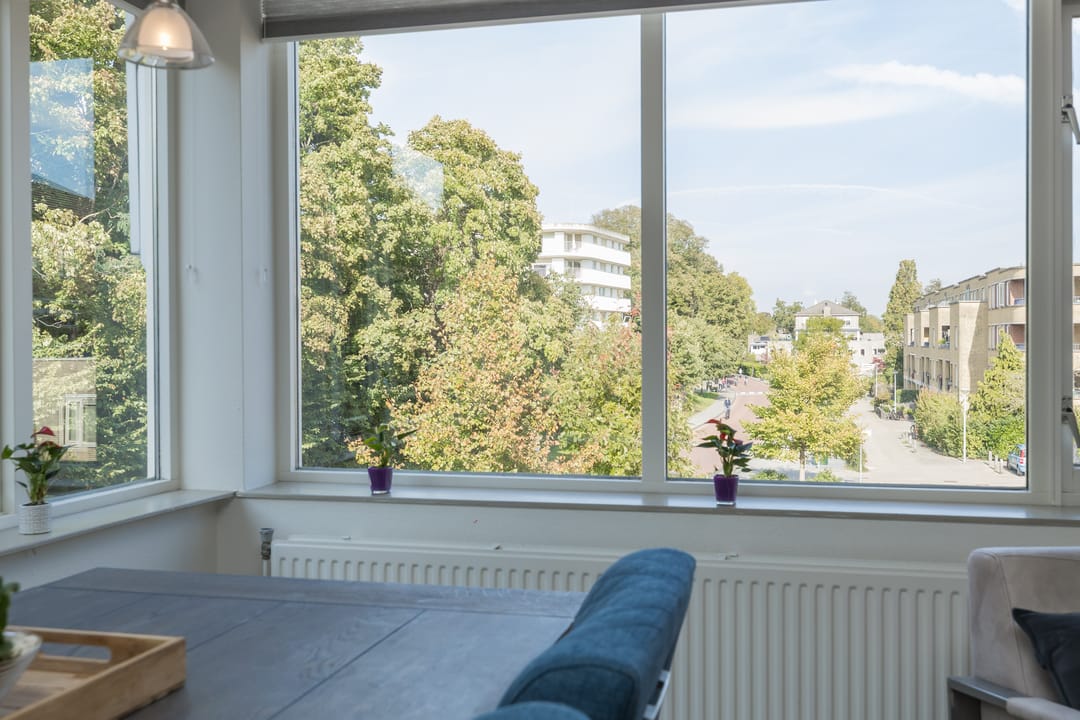 Foto 16 van Laan van Dick Laan 11