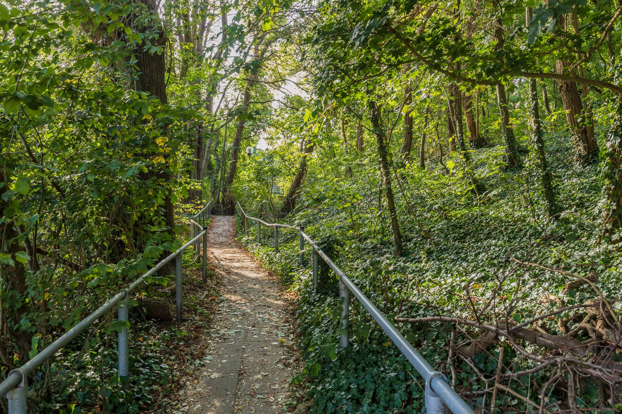 Foto 36 van Laan van Dick Laan 11