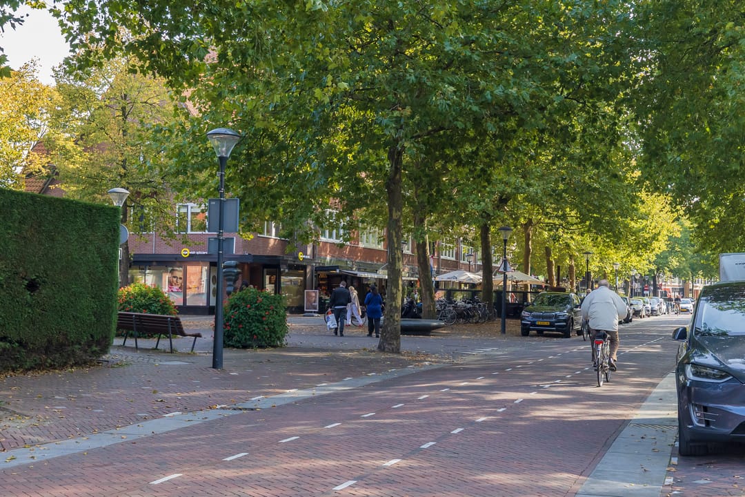 Foto 37 van Laan van Dick Laan 11