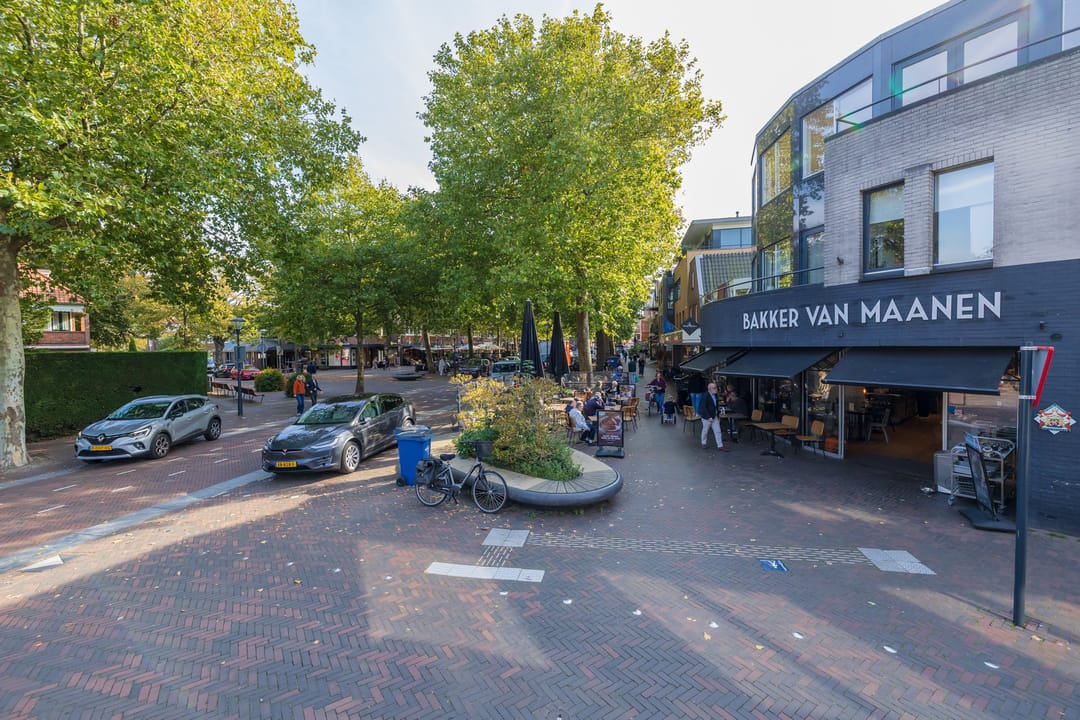 Foto 38 van Laan van Dick Laan 11