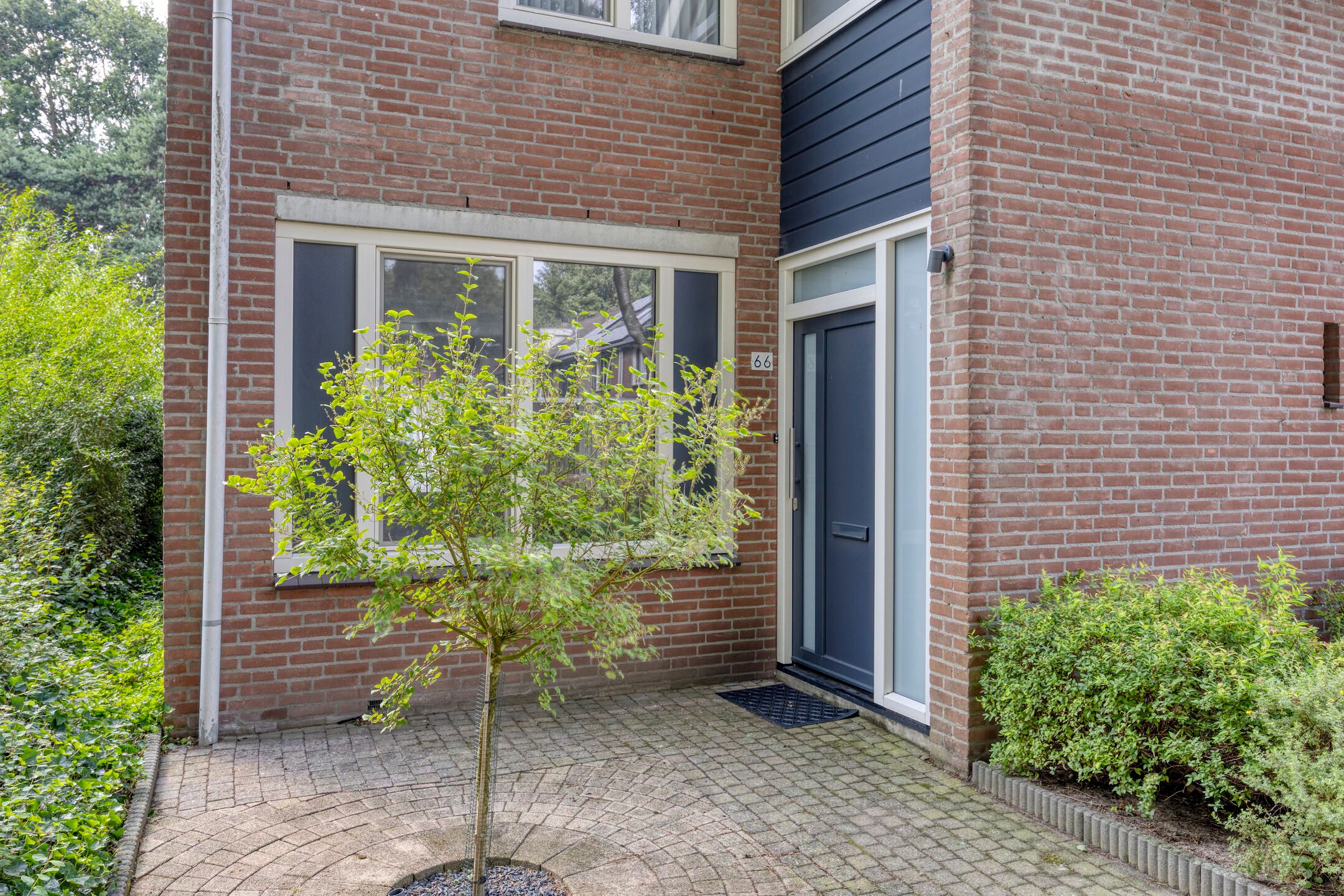 Foto 3 van Hollandhof 66