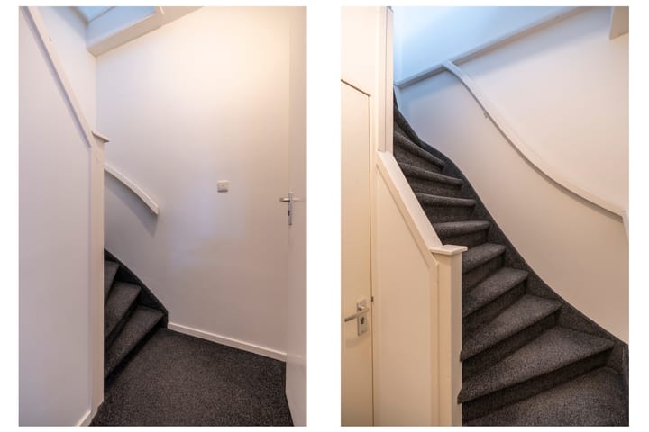 Foto 5 van Laan van Nieuw-Guinea 65-B