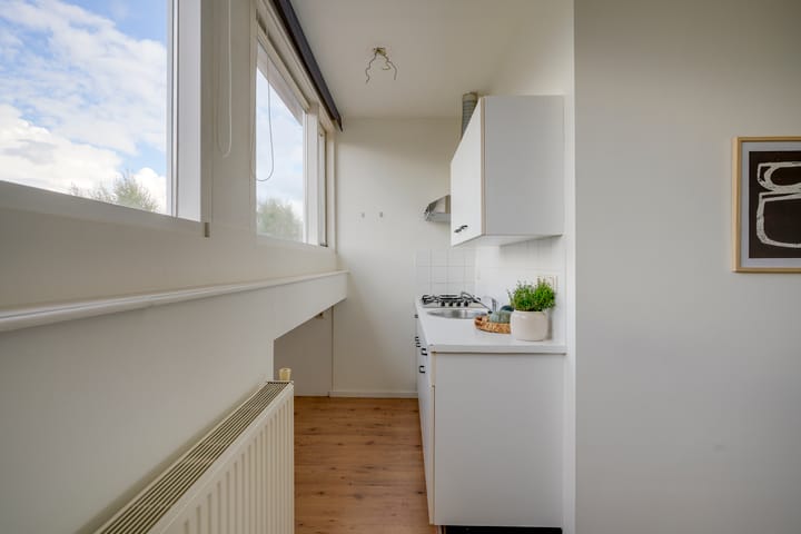 Foto 15 van Laan van Nieuw-Guinea 65-B