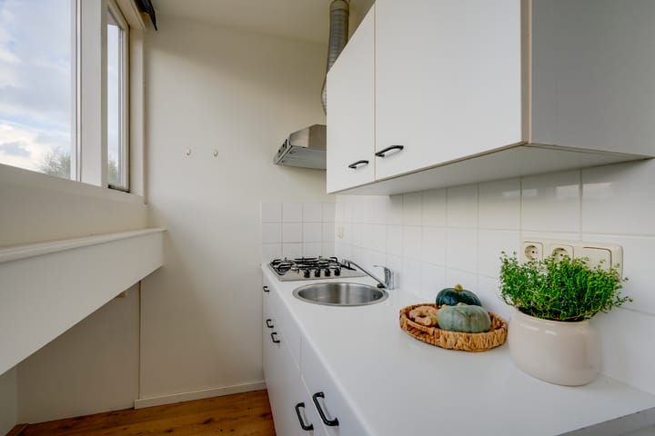 Foto 16 van Laan van Nieuw-Guinea 65-B