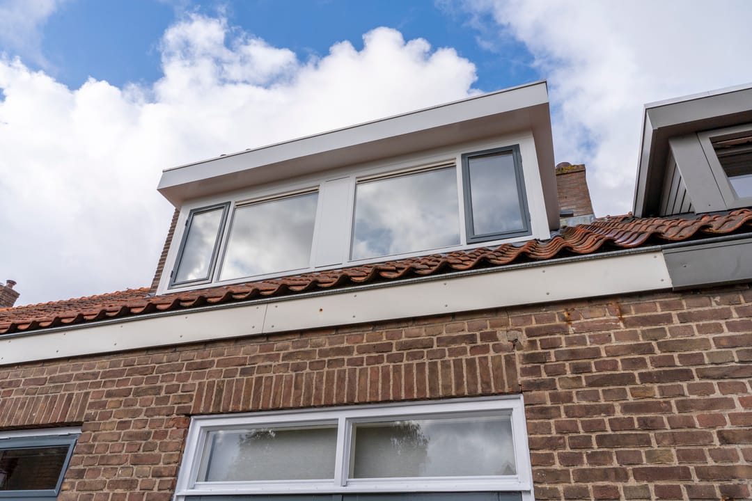 Foto 22 van Laan van Nieuw-Guinea 65-B