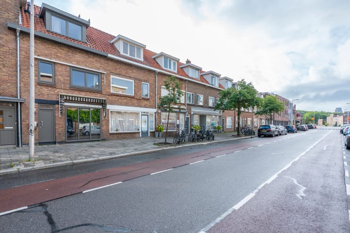 Foto 24 van Laan van Nieuw-Guinea 65-B