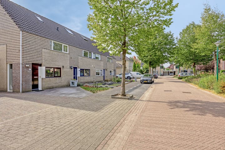 Foto 6 van Kattedoorn 111